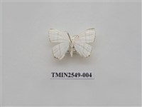 藏品(尺蛾39)的圖片